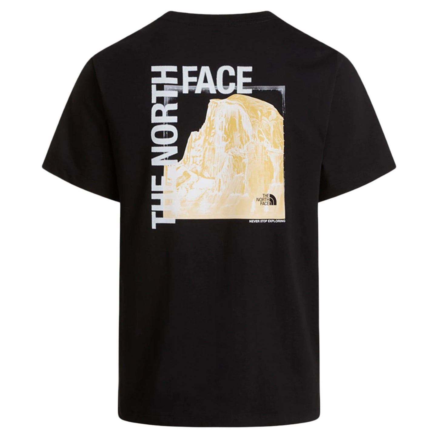 Maglia The North Face BD16